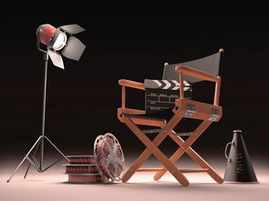 影視文化公司的經(jīng)營(yíng)范圍 聚焦影視傳媒技術(shù)開(kāi)發(fā)